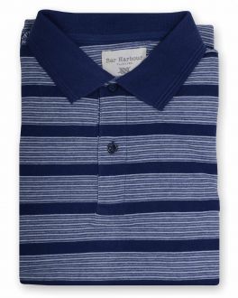 Blue Stripe Polo Shirt