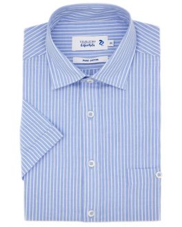 Blue Striped Short Sleeve Casual Shirt