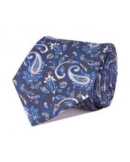 Blue & White Printed Paisley Patterned Tie